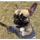 아이조아요양보호소 전남광주점 이미지