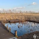 신안산대 이미지