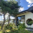 자인계정숲(씨름장) 이미지