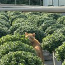 태일농장 이미지