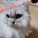 막썰어회센터 이미지