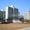 청솔부동산중개사무소 이미지