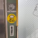 은하수아파트상가 앞 이미지