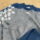 벌룬플라워 이미지