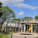 신씽놀이터 이미지