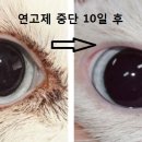 운정W동물병원 이미지