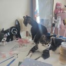 고기궁전 산수점 이미지