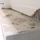 새라돈가스 네이버블로그
