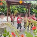 그루터기어린이집 이미지