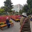 인생사진관 이미지