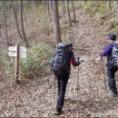 보림사주차장 이미지