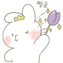 홍카센타 이미지