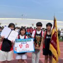 왜관초등학교 이미지