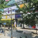 돌고래약국 이미지