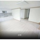 시청뒤에서 이미지