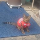 지민77 | 26-3 | 정병시즌 스타트