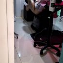 장미로48번길 이미지