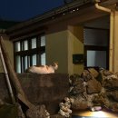 종달바당스테이 | [제주도/혼자여행/코스] 🍊4일차🍊::평대리해변/괜찮은술책/종달리엔심야식당/각자의섬/제주동쪽소품샵