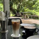 cafe숲 | 🇸🇬싱가폴 P.S. Cafe 후기｜Dempsey Hill 숲속 브런치카페 디저트 맛집|싱가폴 일상 .싱가폴 브런치