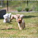 폴앤도기 동남캠퍼스 이미지