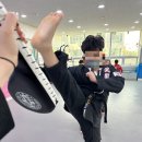 무룡합기도 이미지