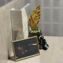 로망휘트니스 영등포점 이미지