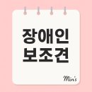 대전지체장애인협회 | 장애인 보조견 총정리: 시각·청각·지체 장애인의 진짜 동반자, 알고 계셨나요?