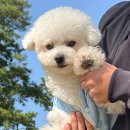 꼬순내유치원 이미지