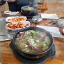 현대기아로 | 화성 남양 맛집 한우마을 남양점 갈비탕 내돈내산 후기 | 추운 날씨엔 따뜻한 국물 루틴 (feat. 이디야...