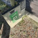 금은모래 캠핑장 이미지