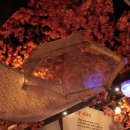 더힐링포차 이미지