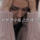 로담 티스토리