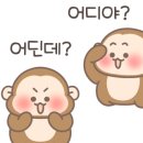 스텔라떡볶이 이미지