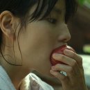 코포레스트 이미지