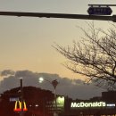 숲섬민박 이미지