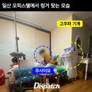 햇님유통 이미지