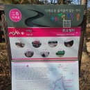 광교천 | 수원 팔색길 중 지게길 코스 걸어보기