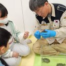 대소초등학교 이미지