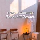 반스완 이미지