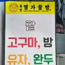 [통영 꿀빵 비교] 내돈내산 3대 꿀빵 솔직 후기! (멍게하우스 수제꿀빵 vs 명가꿀빵 vs 거북선꿀빵)