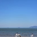 영흥북로 | 서울 근교 바다 십리포해수욕장 아이랑 당일치기 후기