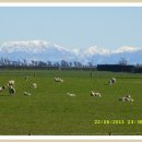 천리목장 이미지