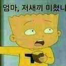 엔돌핀 Daum카페