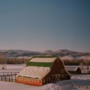 은총농장 | 구의역 그라운드시소 이스트 - 일반인 시선으로 본 알렉스 키토 사진전 관람 후기