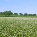 하남읍행정복지센터 이미지