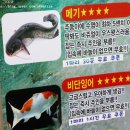 가호메디 | 인천 실내낚시터 최고에 스릴 낚시체험