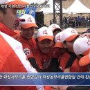 향남 야구장 야구장 이미지