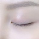 아니스 속눈썹