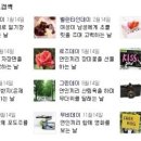 데이데이데이 이미지