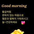 평화의료기 Daum카페